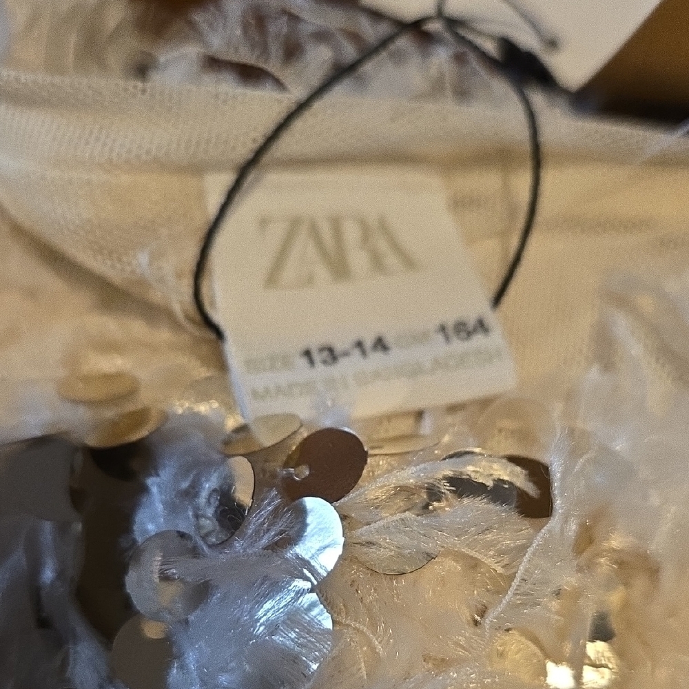 Zara Cream Sequin Top - Picture 2 of 12